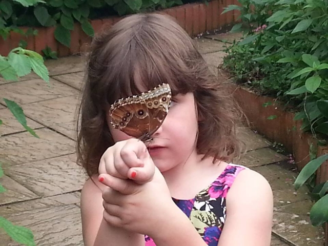  儿童的绝佳体验 